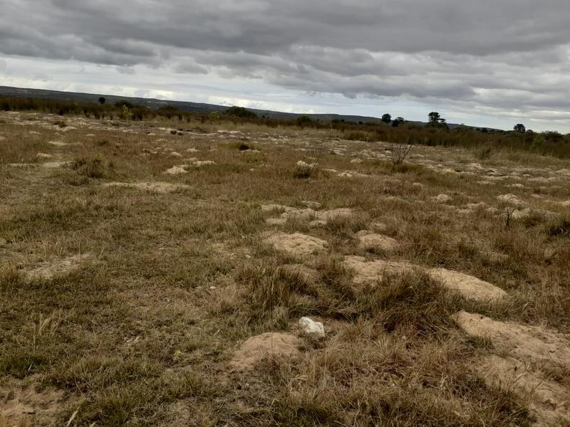 1 Bedroom Property for Sale in Riversdale Western Cape